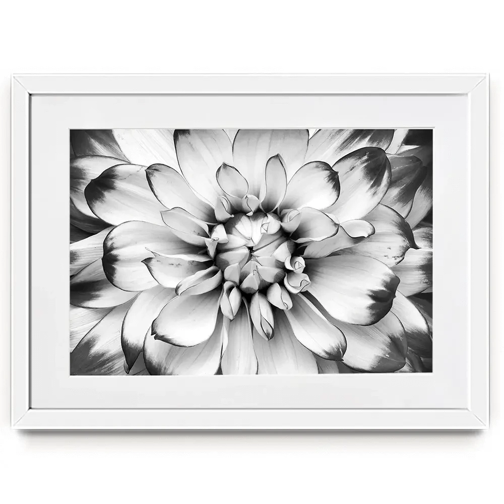Black And White Flower Framed Art Print Black And White Flower Framed Art Print wall art product Annmarie Young / Shutterstock