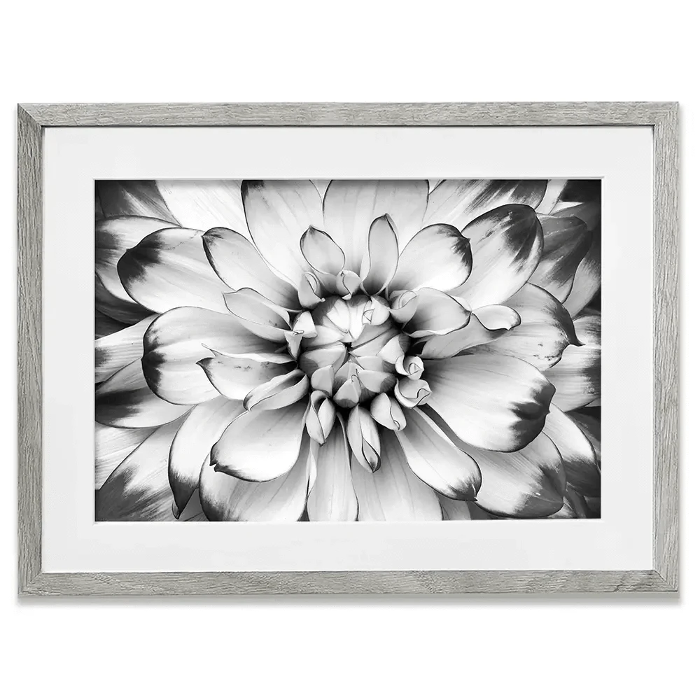 Black And White Flower Framed Art Print Black And White Flower Framed Art Print wall art product Annmarie Young / Shutterstock