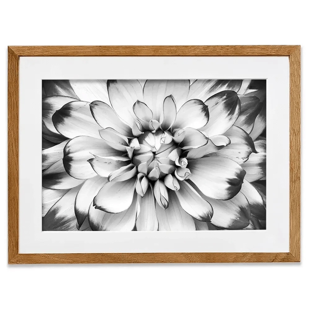 Black And White Flower Framed Art Print Black And White Flower Framed Art Print wall art product Annmarie Young / Shutterstock
