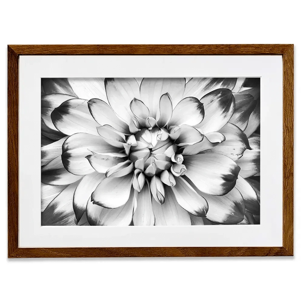 Black And White Flower Framed Art Print Black And White Flower Framed Art Print wall art product Annmarie Young / Shutterstock
