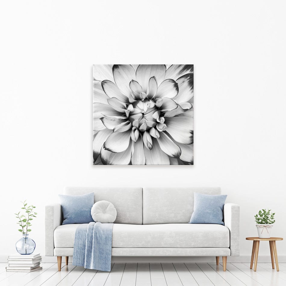 Black And White Flower Square Canvas Print wall art product Annmarie Young / Shutterstock