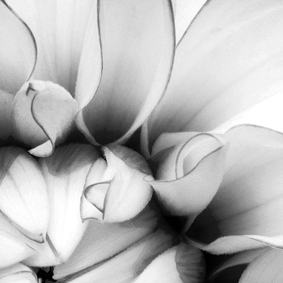 Black And White Flower Square Canvas Print wall art product Annmarie Young / Shutterstock