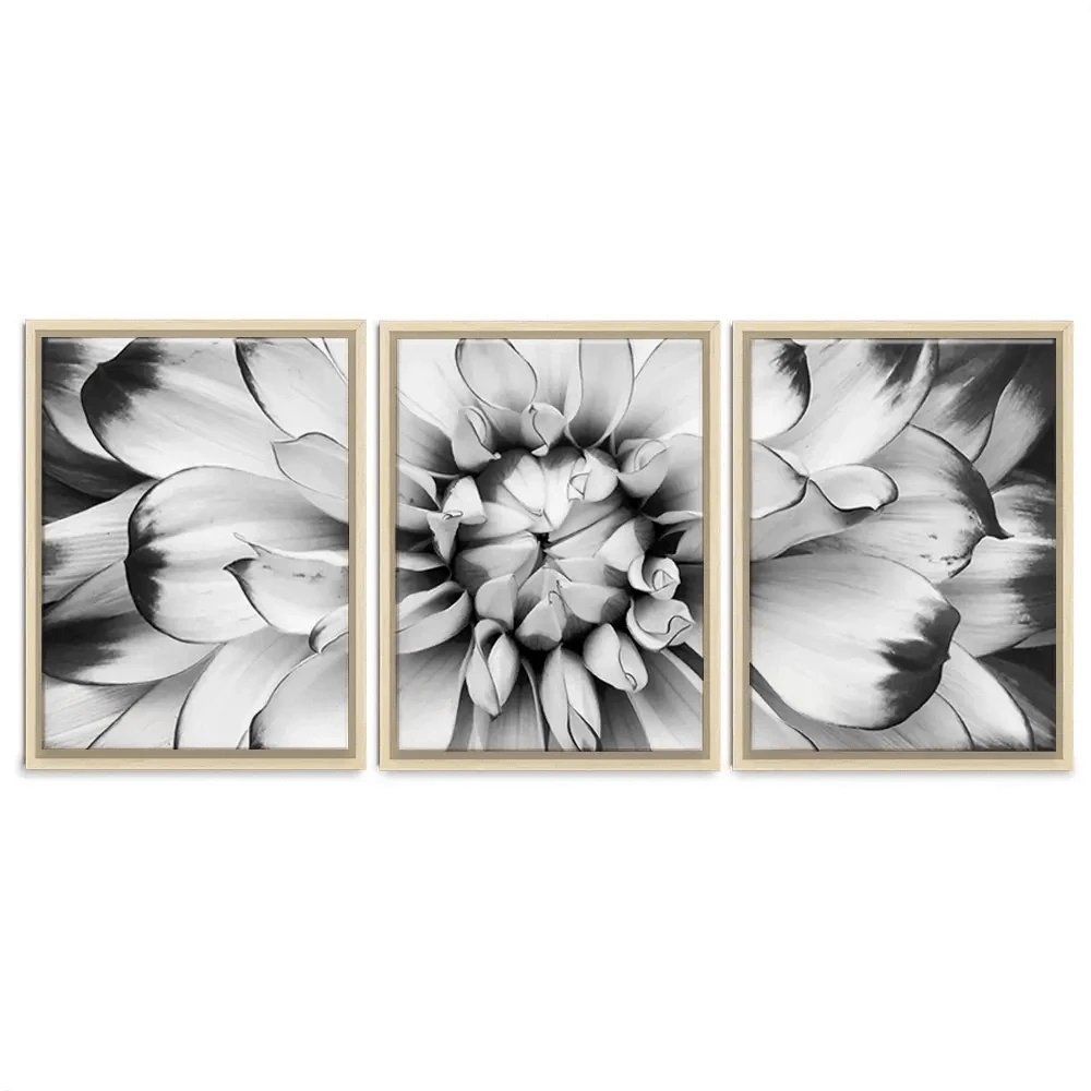 Black And White Flower Trio Canvas Print Black And White Flower Trio Canvas Print wall art product Annmarie Young / Shutterstock