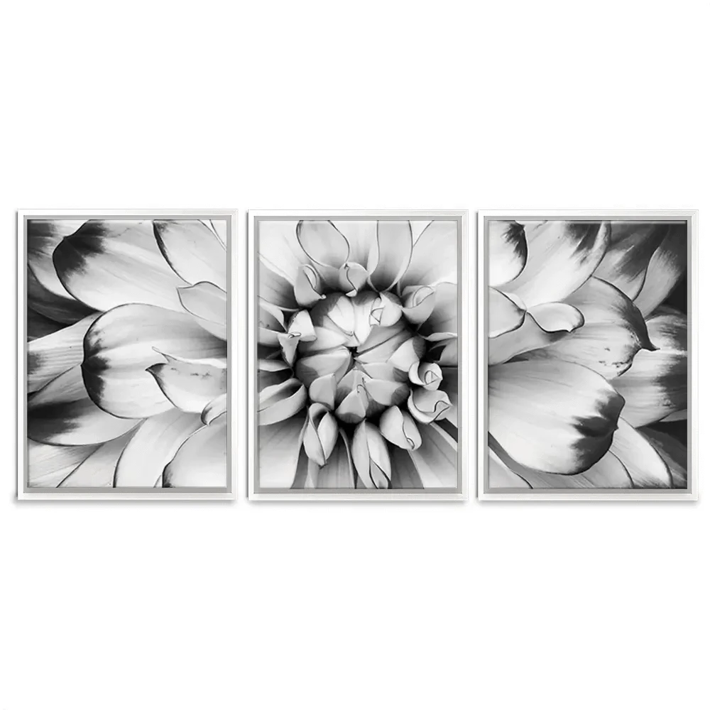 Black And White Flower Trio Canvas Print Black And White Flower Trio Canvas Print wall art product Annmarie Young / Shutterstock