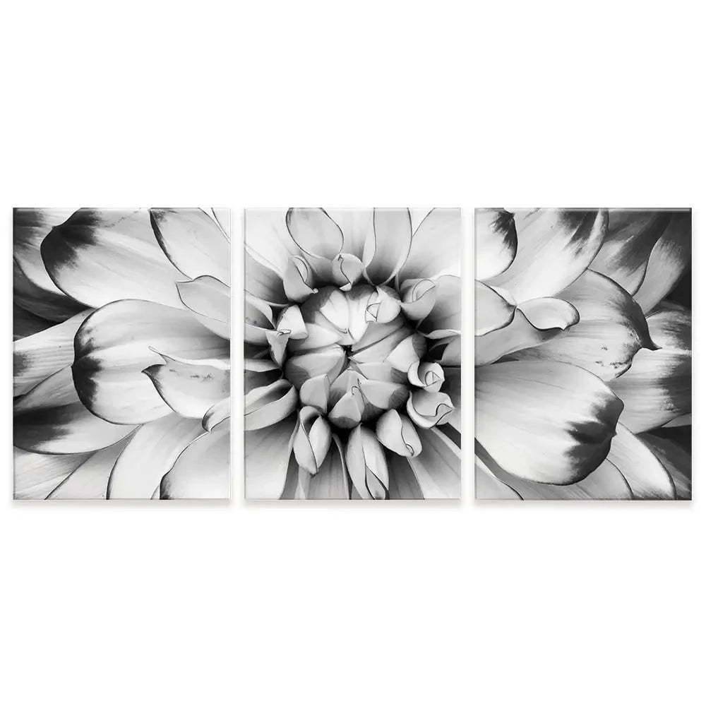 Black And White Flower Trio Canvas Print Black And White Flower Trio Canvas Print wall art product Annmarie Young / Shutterstock