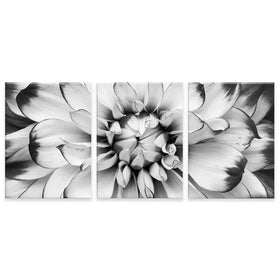 Black And White Flower Trio Canvas Print Black And White Flower Trio Canvas Print wall art product Annmarie Young / Shutterstock
