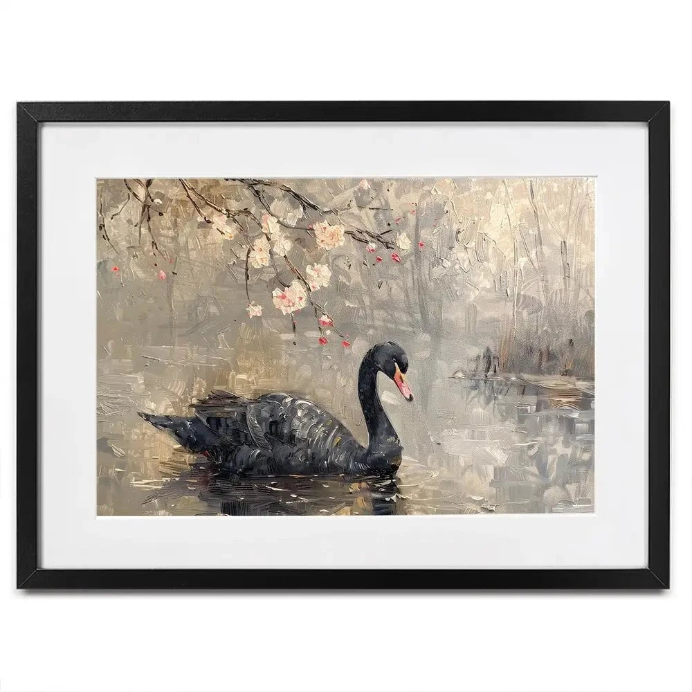 Black Swan On The Lake Framed Art Print
