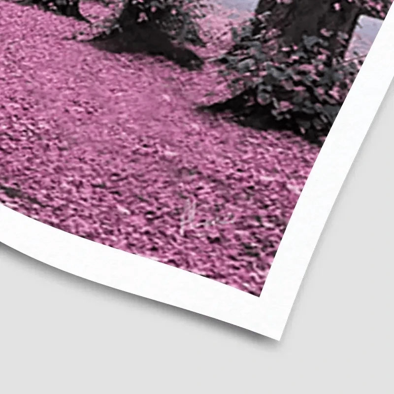 Blossom Path Landscape Art Print Blossom Path Landscape Art Print wall art product Aimee Linzi