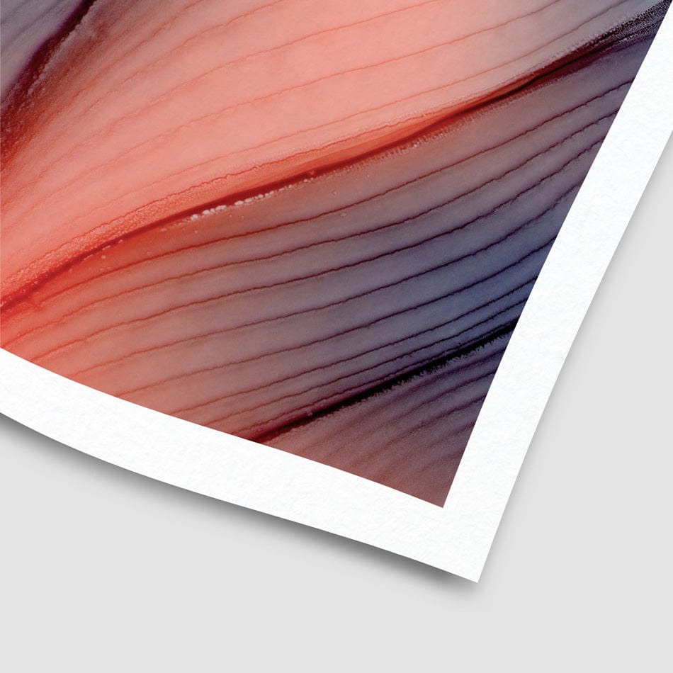 Bravery Art Print wall art product Victoria Hilbrecht