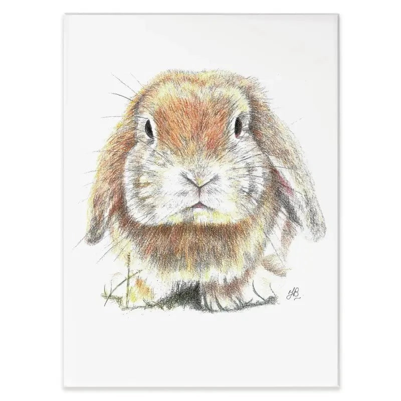 Bunny Illustration Canvas Print Bunny Illustration Canvas Print wall art product Jackie Bridges