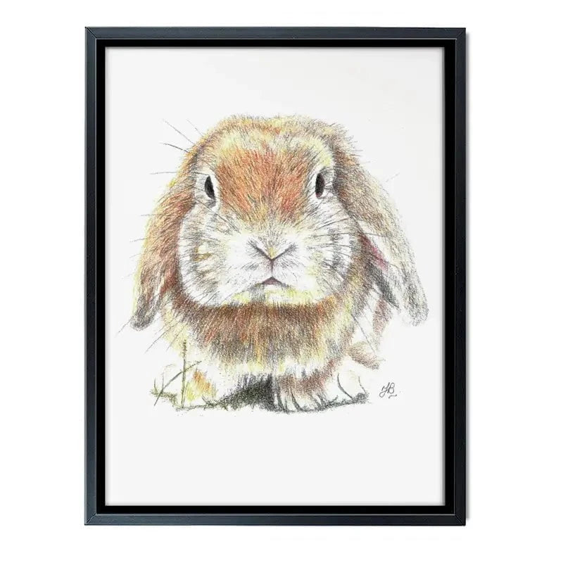 Bunny Illustration Canvas Print Bunny Illustration Canvas Print wall art product Jackie Bridges