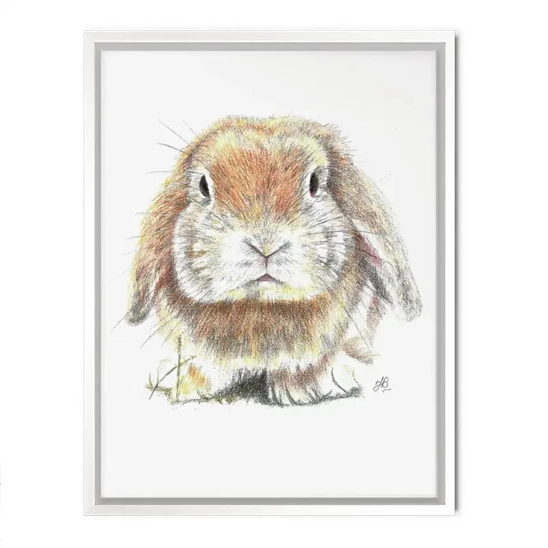 Bunny Illustration Canvas Print Bunny Illustration Canvas Print wall art product Jackie Bridges