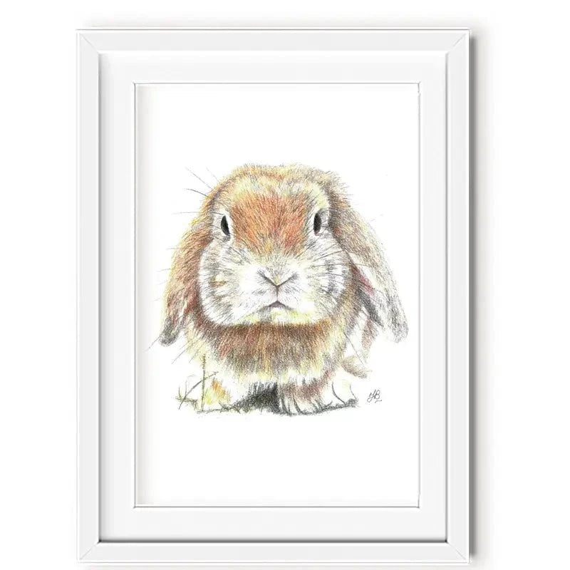Bunny Illustration Framed Art Print Bunny Illustration Framed Art Print wall art product Jackie Bridges