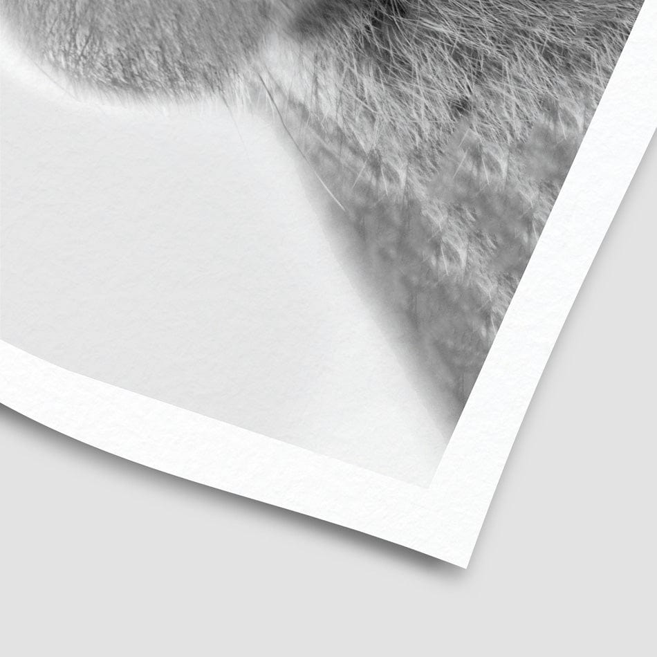 Bunny Rabbit Portrait Art Print wall art product R Visser