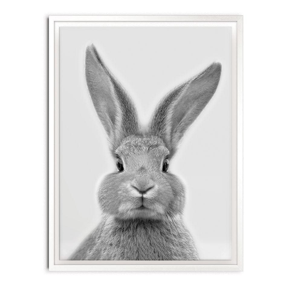 Bunny Rabbit Portrait Canvas Print wall art product R Visser
