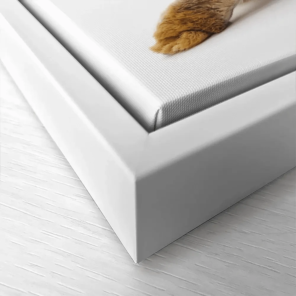 Bunny Rabbit Tail Canvas Print Bunny Rabbit Tail Canvas Print wall art product Oleksandr Lytvynenko / Shutterstock