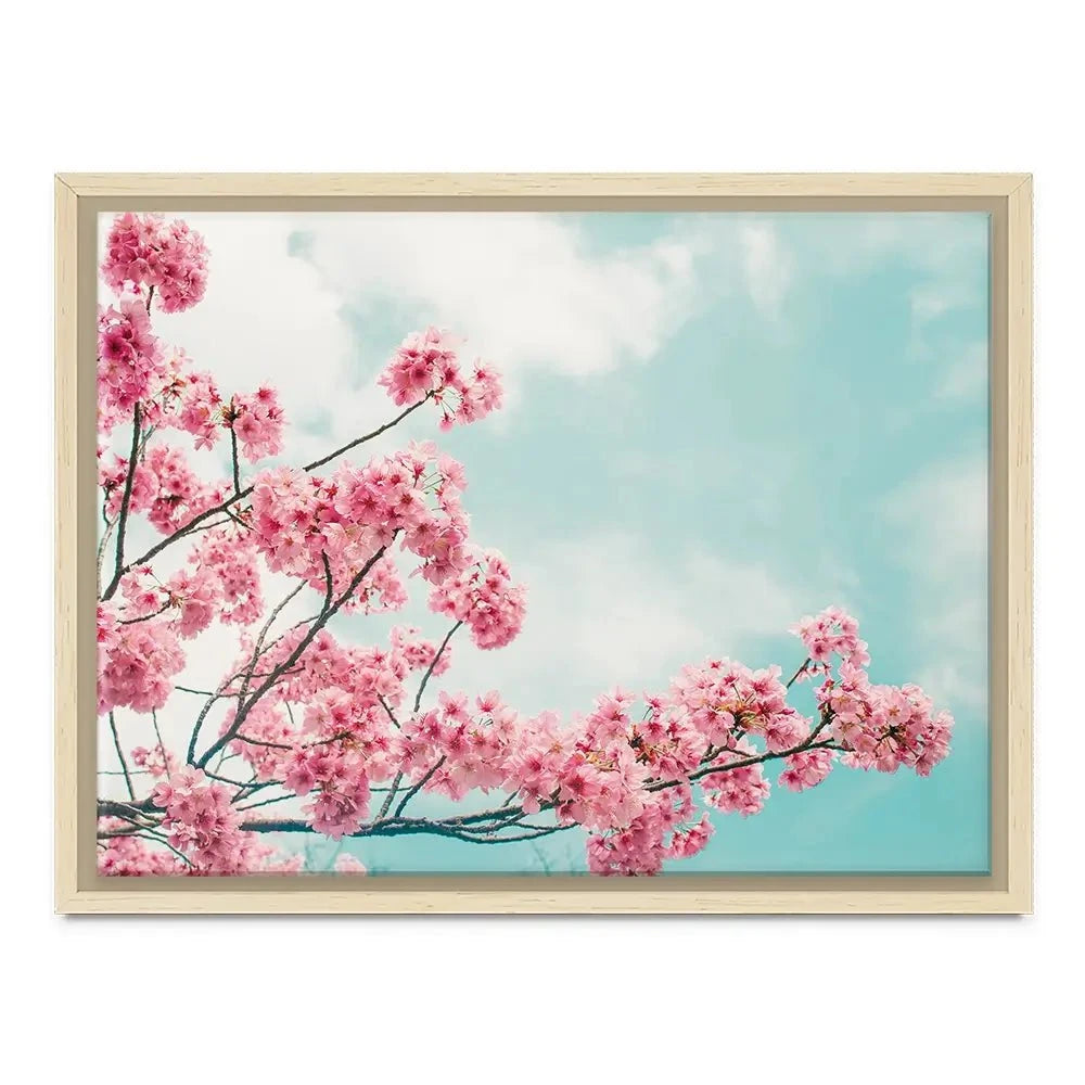 Cherry Blossom Canvas Print Cherry Blossom Canvas Print wall art product Makistock / Shutterstock