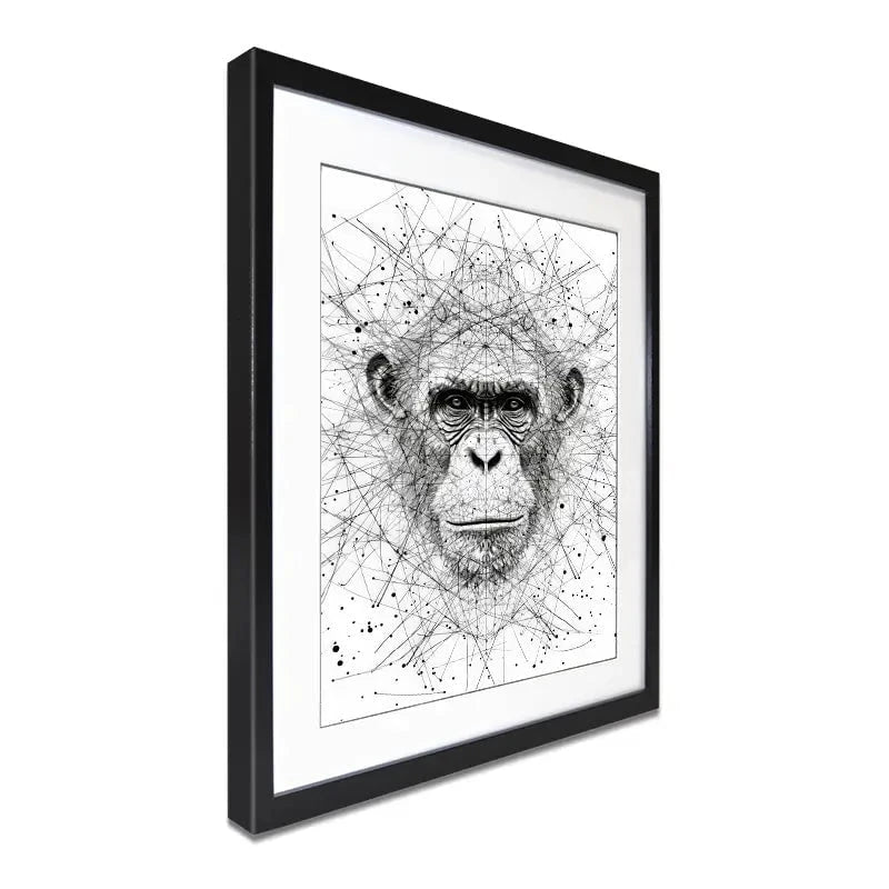 Chimpanzee Study Framed Art Print Chimpanzee Study Framed Art Print wall art product David Alexander Elder