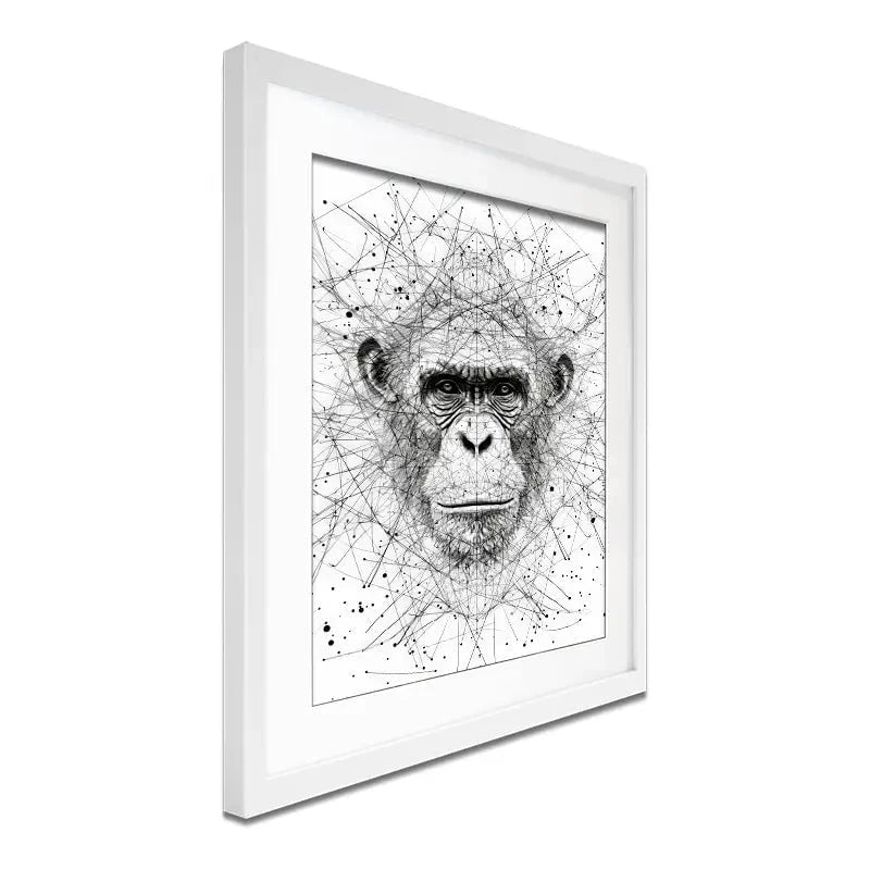 Chimpanzee Study Framed Art Print Chimpanzee Study Framed Art Print wall art product David Alexander Elder
