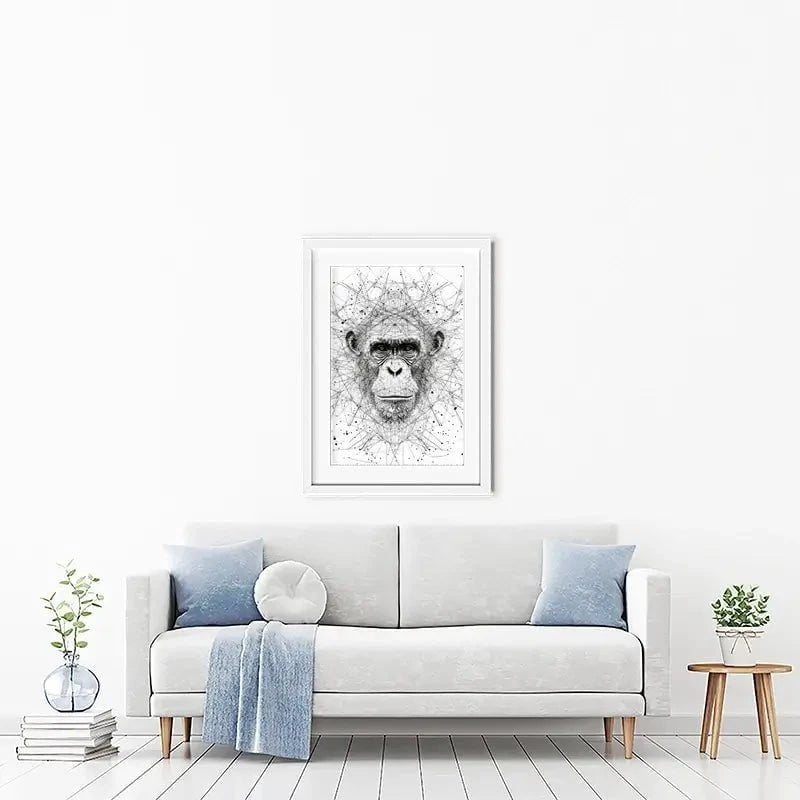Chimpanzee Study Framed Art Print Chimpanzee Study Framed Art Print wall art product David Alexander Elder