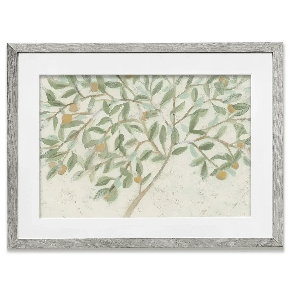 Citrus Tree Framed Art Print Citrus Tree Framed Art Print wall art product June Erica Vess