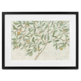 Citrus Tree Framed Art Print Citrus Tree Framed Art Print wall art product June Erica Vess