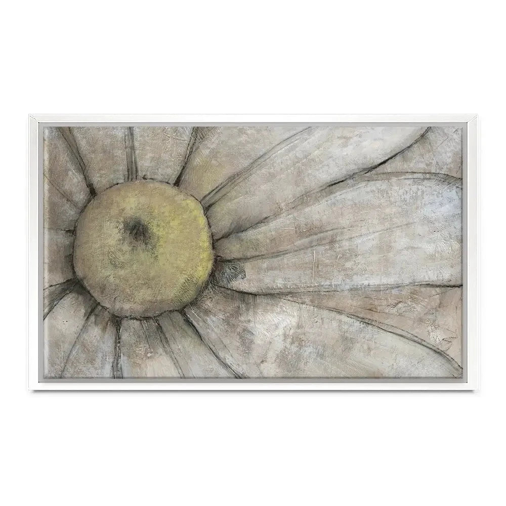 Close Up Daisy Canvas Print Close Up Daisy Canvas Print wall art product Tim O'Toole