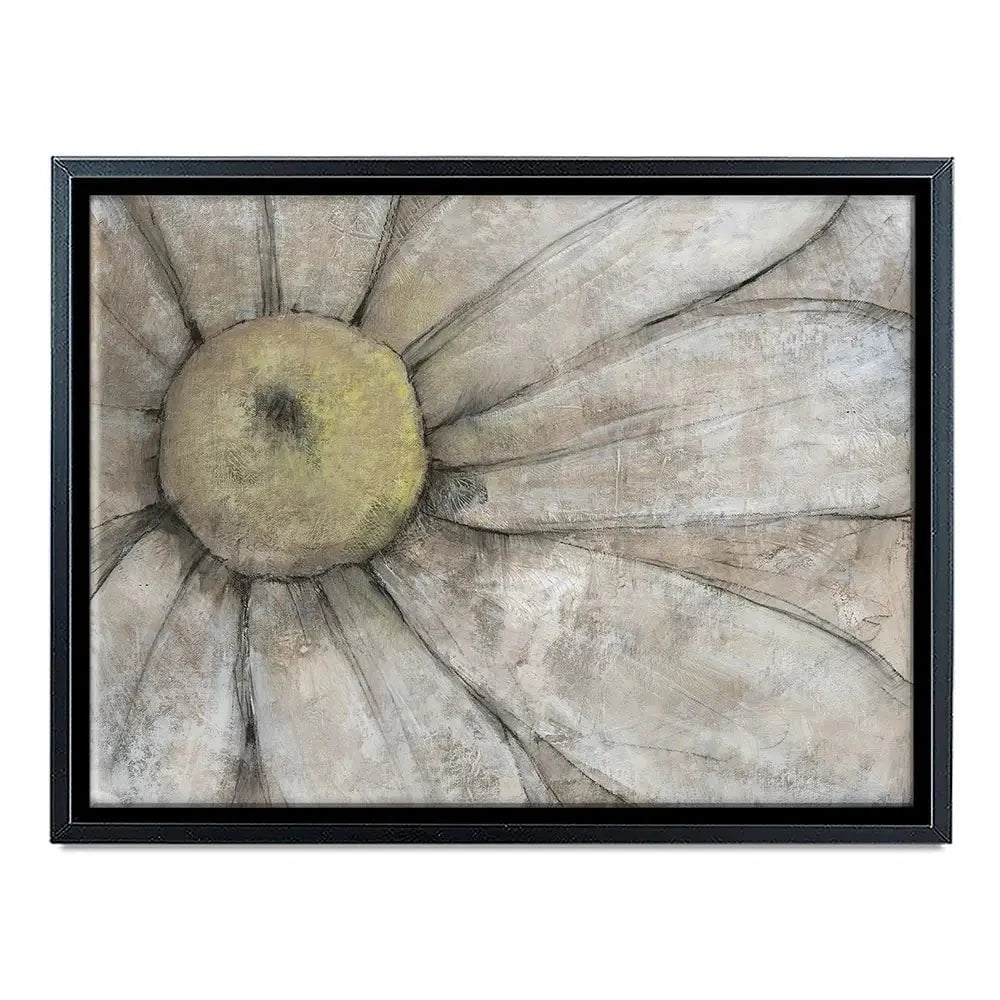 Close Up Daisy Canvas Print Close Up Daisy Canvas Print wall art product Tim O'Toole