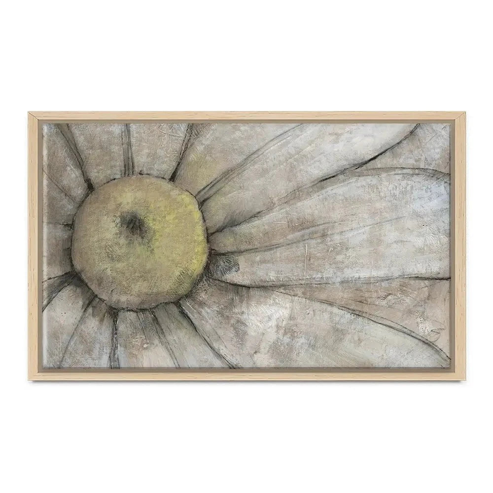 Close Up Daisy Canvas Print Close Up Daisy Canvas Print wall art product Tim O'Toole