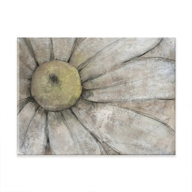 Close Up Daisy Canvas Print Close Up Daisy Canvas Print wall art product Tim O'Toole