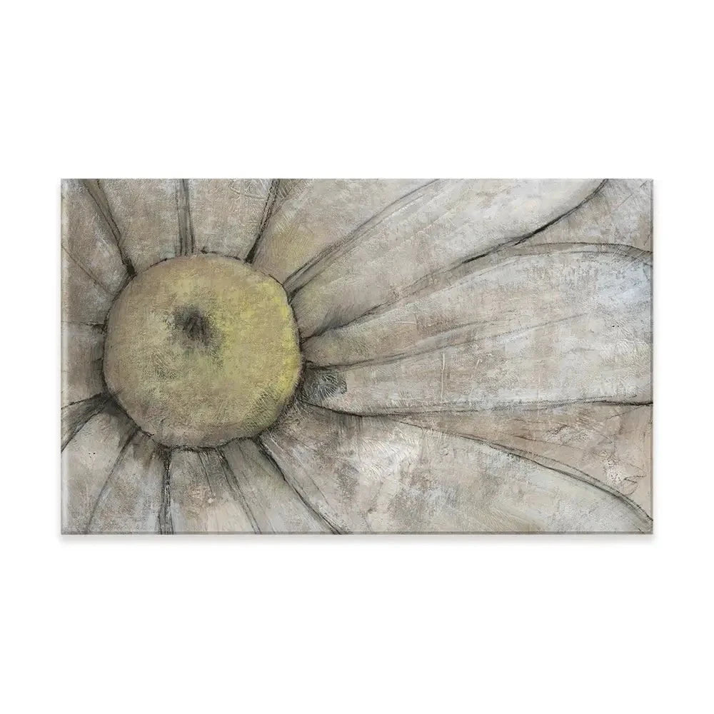 Close Up Daisy Canvas Print Close Up Daisy Canvas Print wall art product Tim O'Toole
