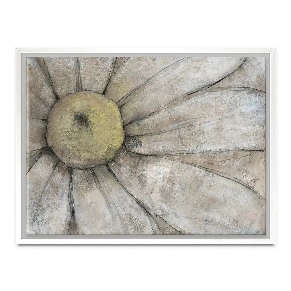 Close Up Daisy Canvas Print Close Up Daisy Canvas Print wall art product Tim O'Toole