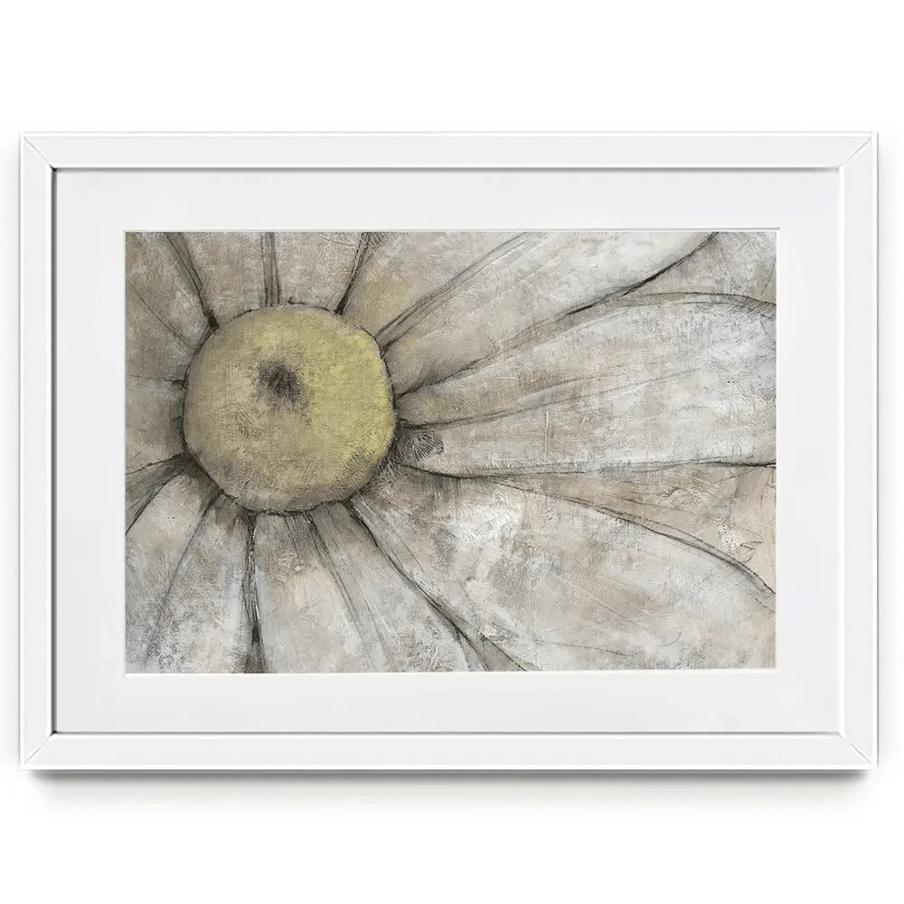 Close Up Daisy Framed Art Print Close Up Daisy Framed Art Print wall art product Tim O'Toole