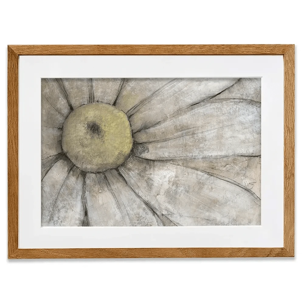 Close Up Daisy Framed Art Print Close Up Daisy Framed Art Print wall art product Tim O'Toole
