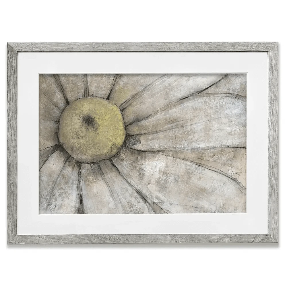 Close Up Daisy Framed Art Print Close Up Daisy Framed Art Print wall art product Tim O'Toole