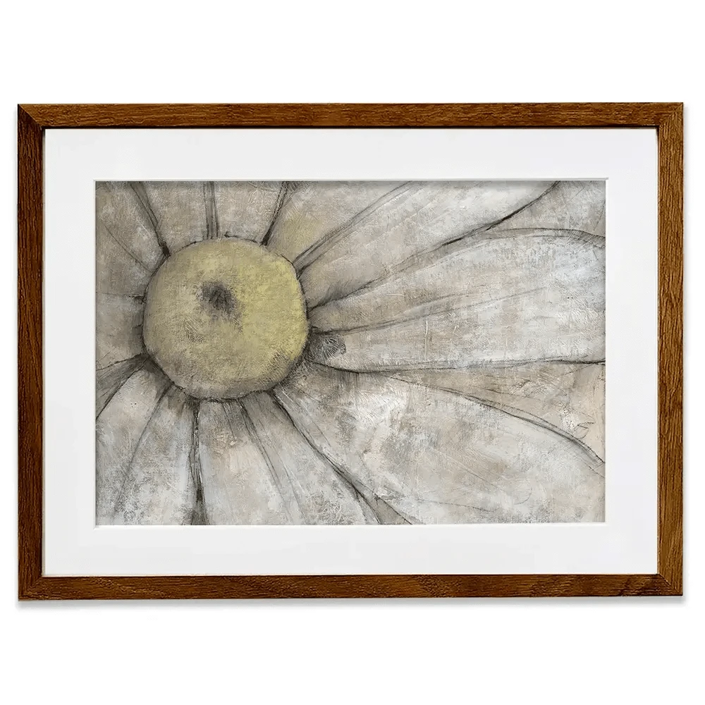 Close Up Daisy Framed Art Print Close Up Daisy Framed Art Print wall art product Tim O'Toole