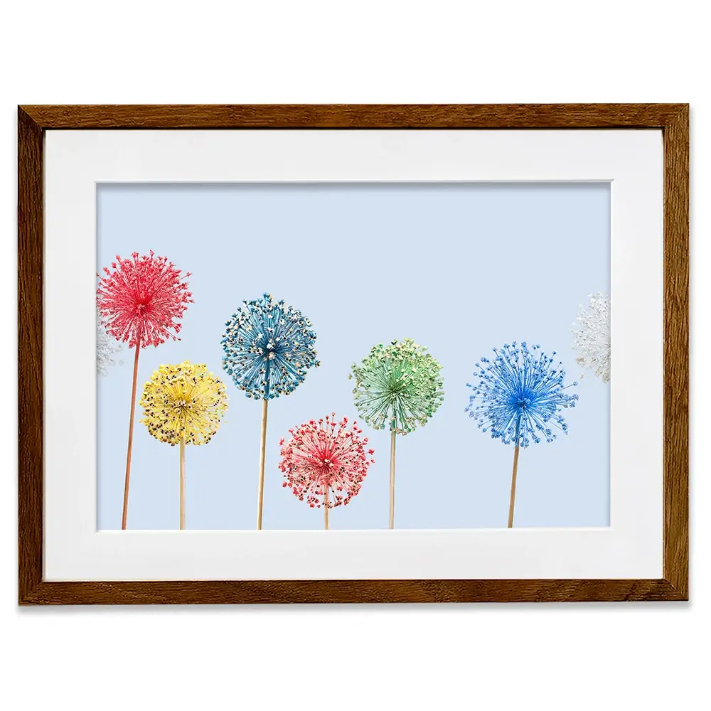 Coloured Dandelions Framed Art Print Coloured Dandelions Framed Art Print wall art product Svetlana Foote / Shutterstock