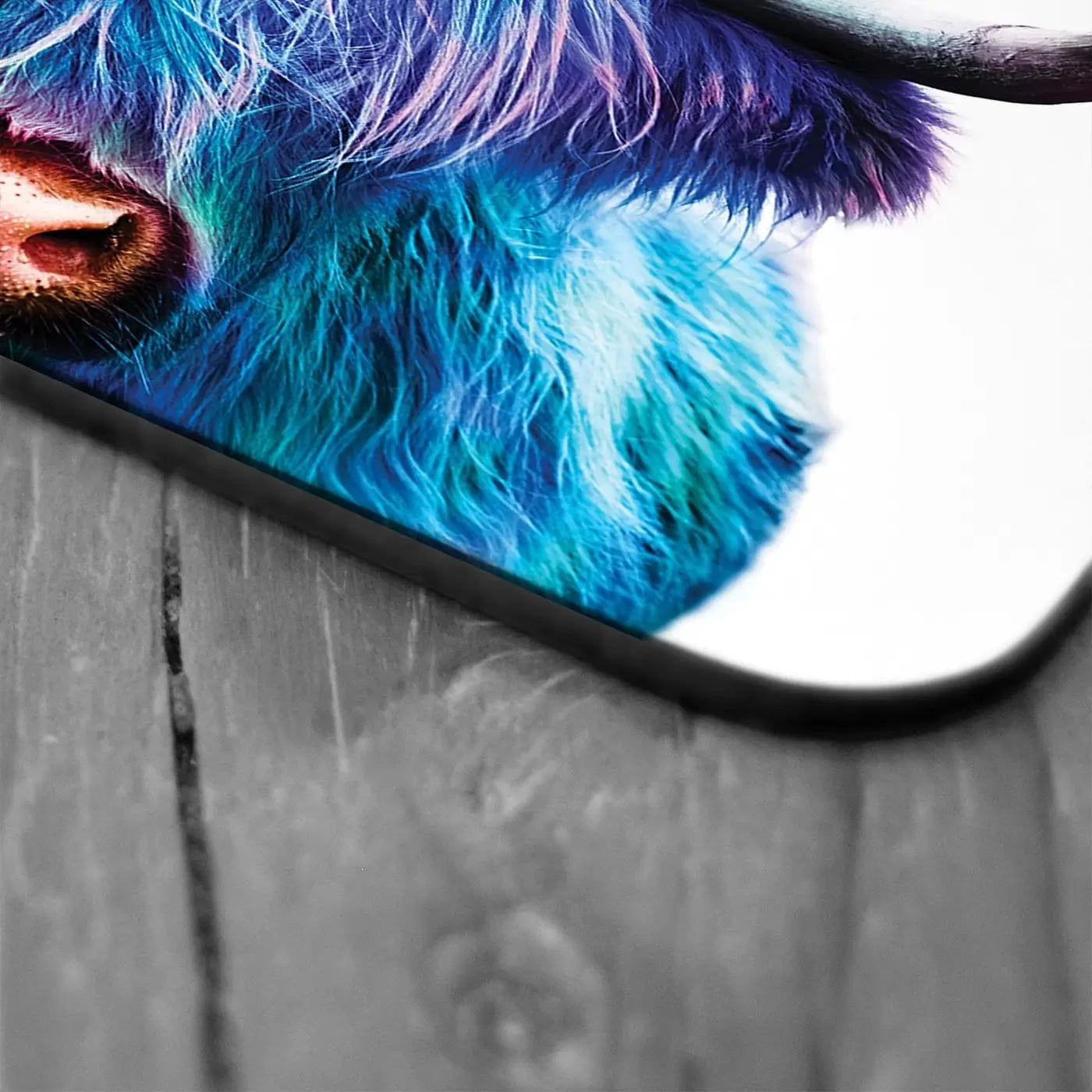 Colourful Blue Highland Cow Coaster Set Colourful Blue Highland Cow Coaster Set wall art product Patricia Chumillas / Shutterstock