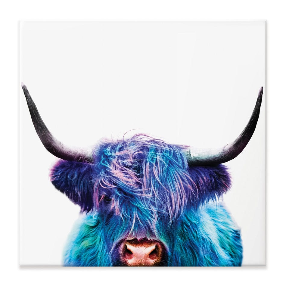 Colourful Blue Highland Cow Square Canvas Print wall art product Patricia Chumillas / Shutterstock