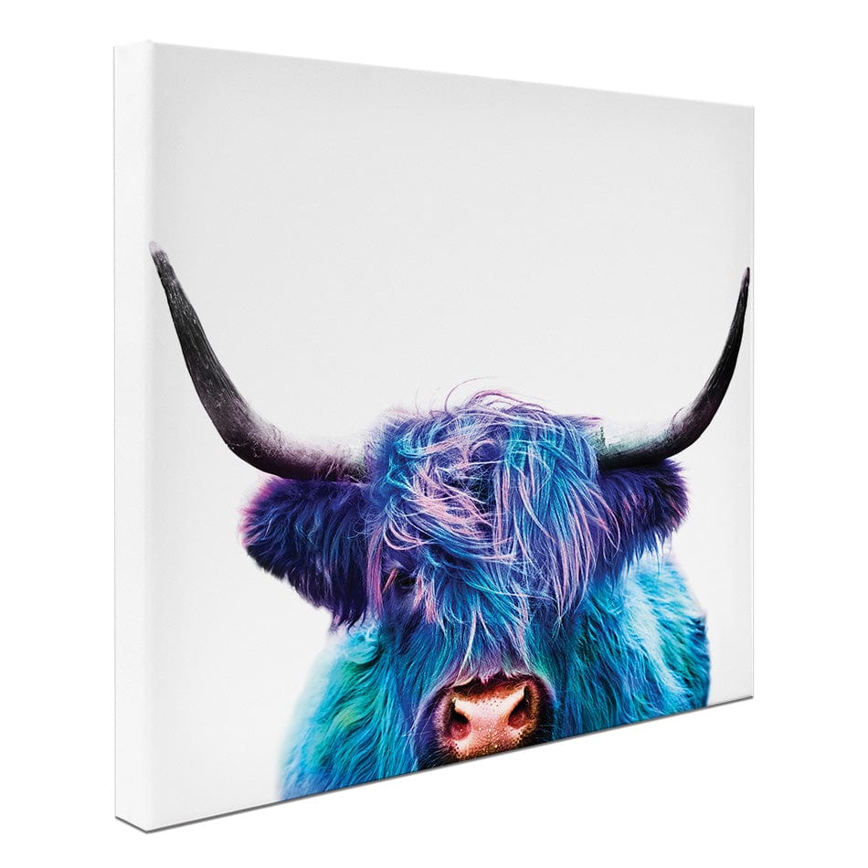 Colourful Blue Highland Cow Square Canvas Print wall art product Patricia Chumillas / Shutterstock