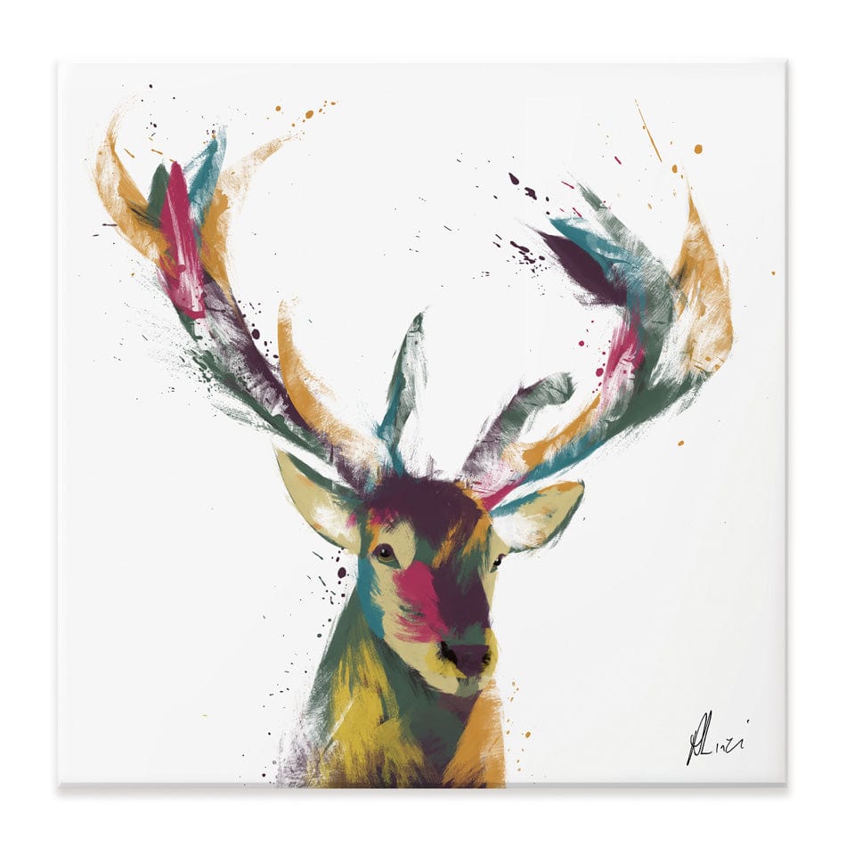 Colourful Stag Canvas Print wall art product Aimee Linzi
