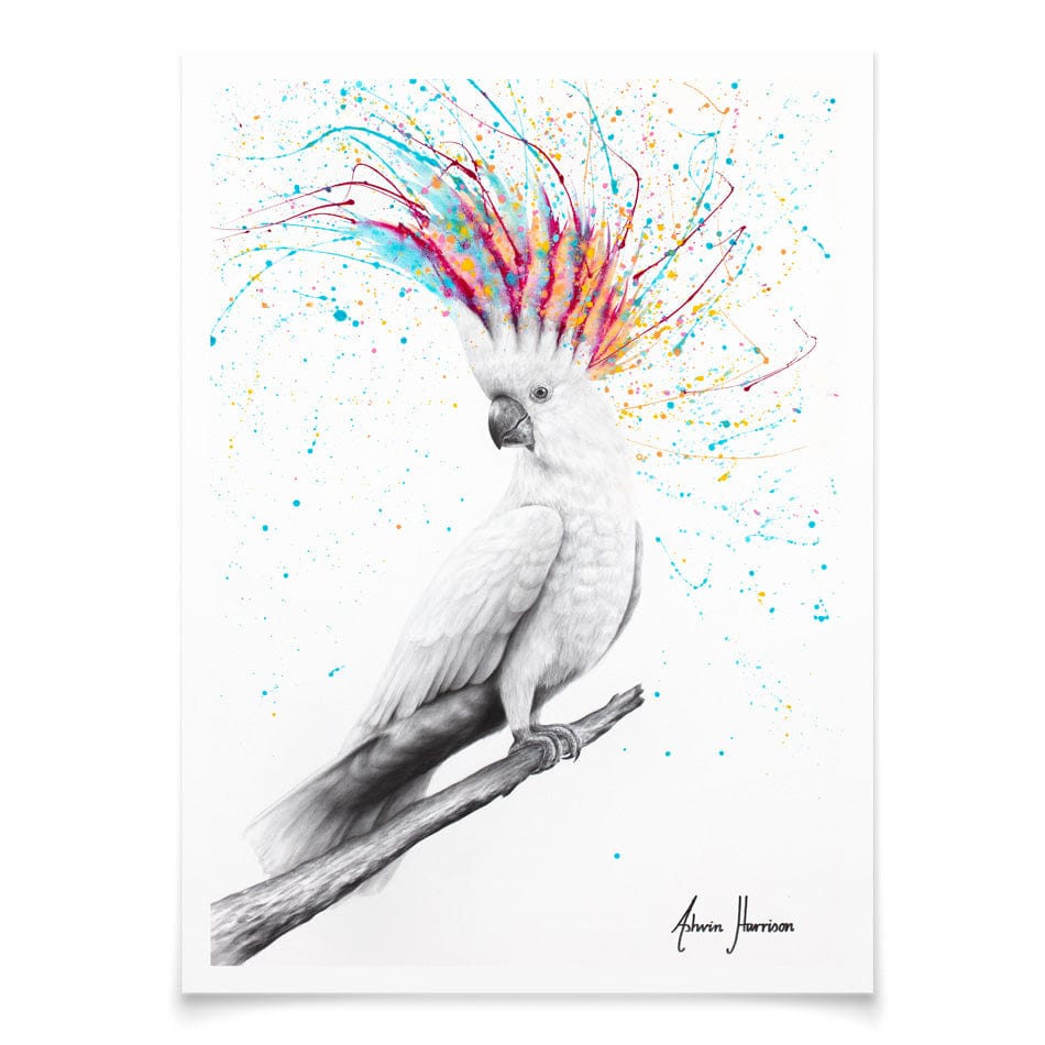 Cool Cockatoo Art Print wall art product Ashvin Harrison