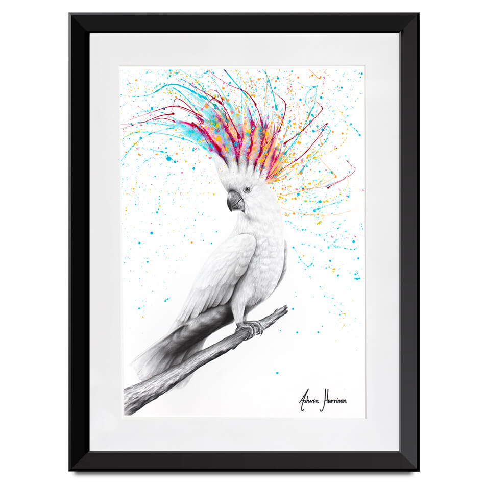 Cool Cockatoo Framed Art Print Cool Cockatoo Framed Art Print wall art product Ashvin Harrison