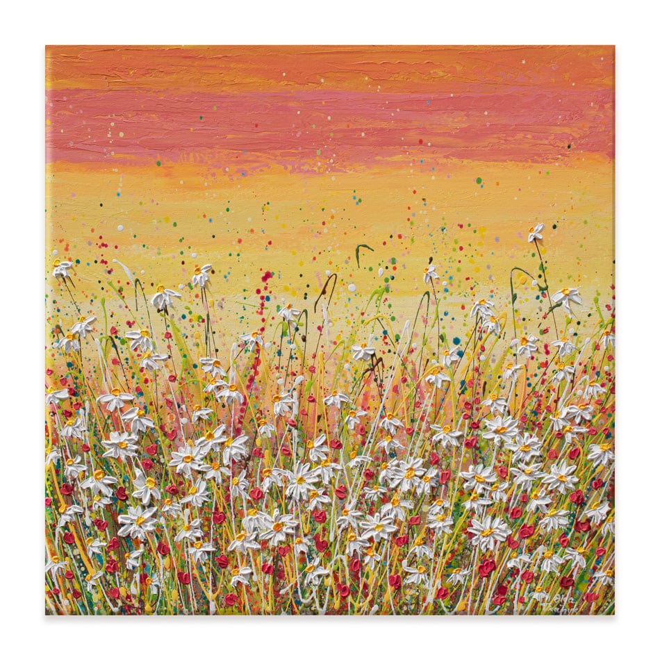 Daisies At Sunset Canvas Print wall art product Olga Tkachyk