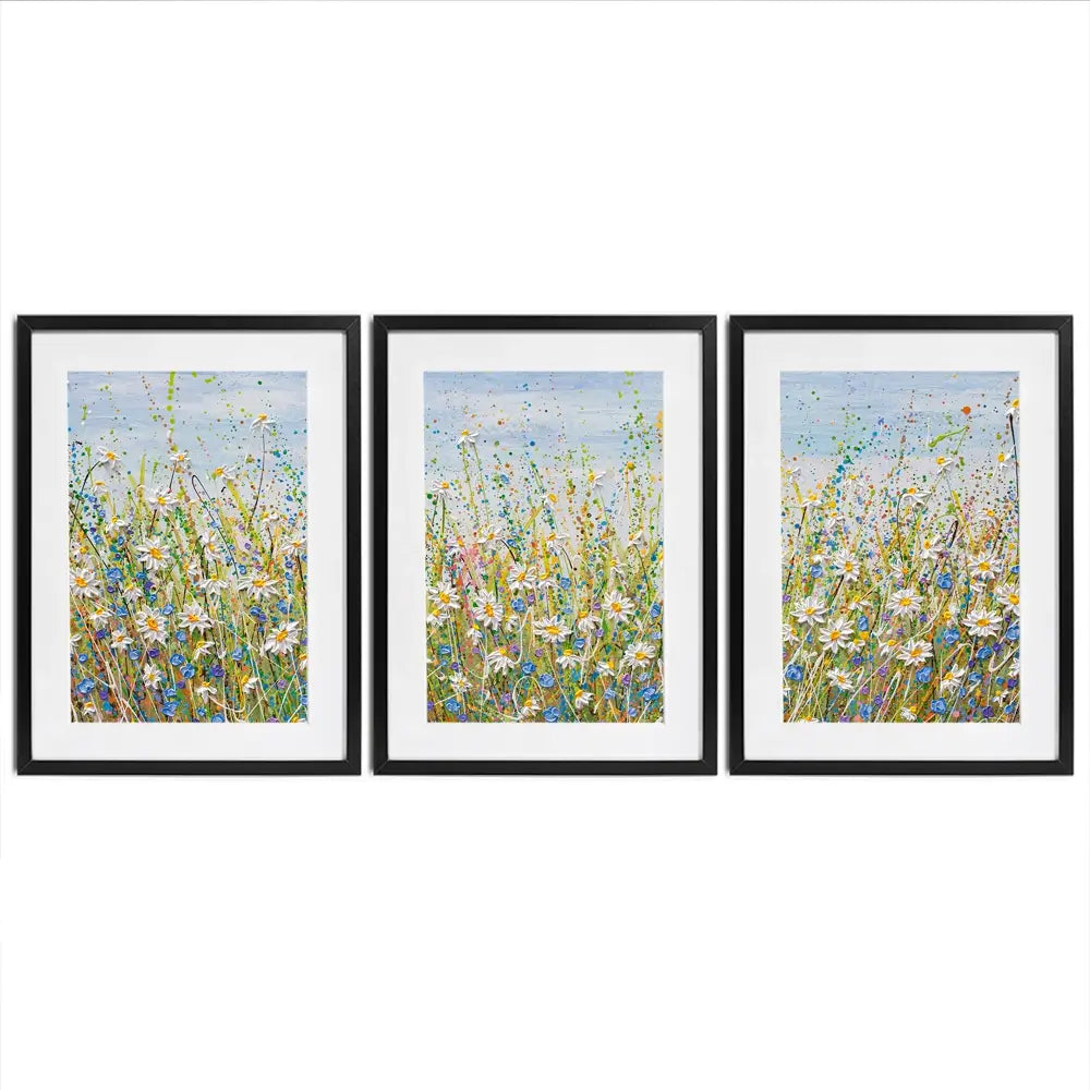 Daisies In July Framed Art Print Trio Daisies In July Framed Art Print Trio wall art product Olga Tkachyk