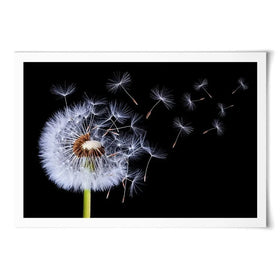 Dandelion Art Print Dandelion Art Print wall art product Bess Hamitii / Shutterstock