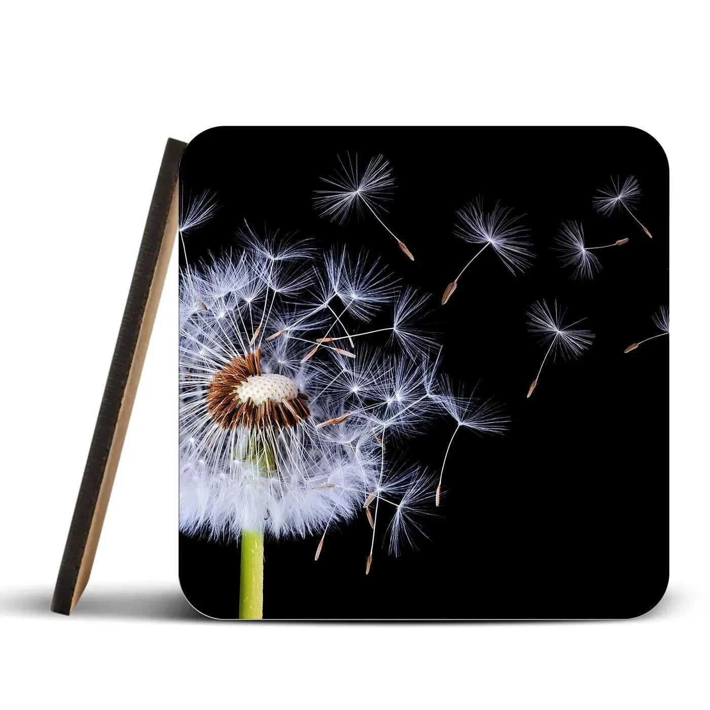 Dandelion Coaster Set Dandelion Coaster Set wall art product Bess Hamitii / Shutterstock