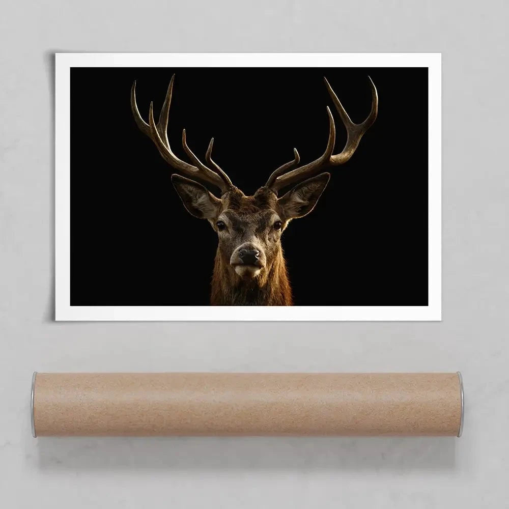 Deer Art Print Deer Art Print wall art product Brais Seara / Shutterstock