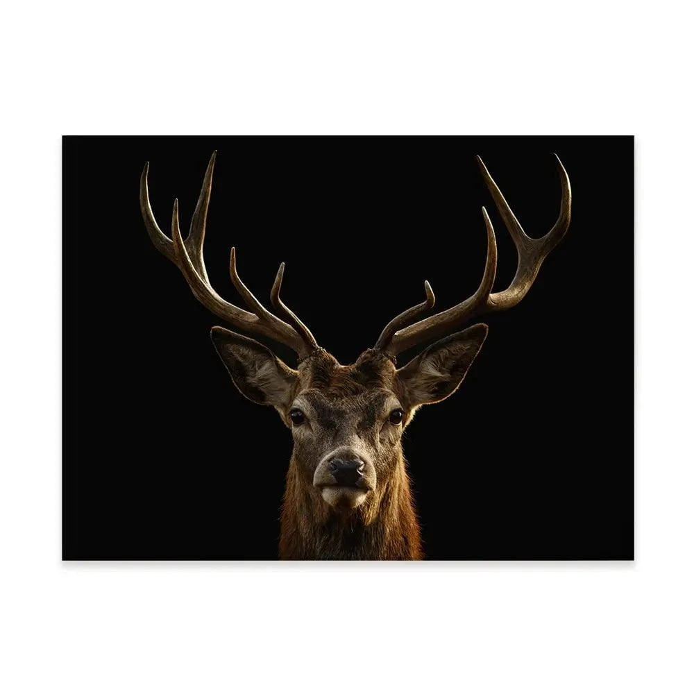 Deer Canvas Print Deer Canvas Print wall art product Brais Seara / Shutterstock