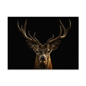 Deer Canvas Print Deer Canvas Print wall art product Brais Seara / Shutterstock